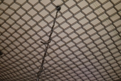 wp-1537549056943